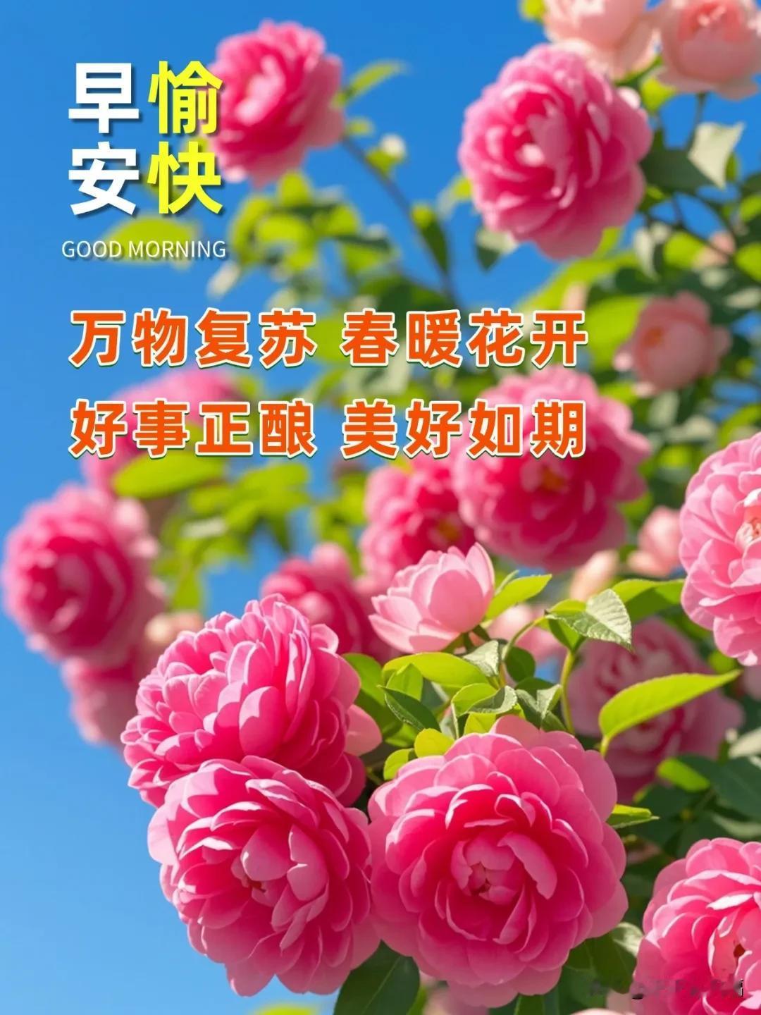 早安吉祥祝福精选图片：平安喜乐常随好运连连

晨钟轻响，岁月静好。愿您今日：衣襟