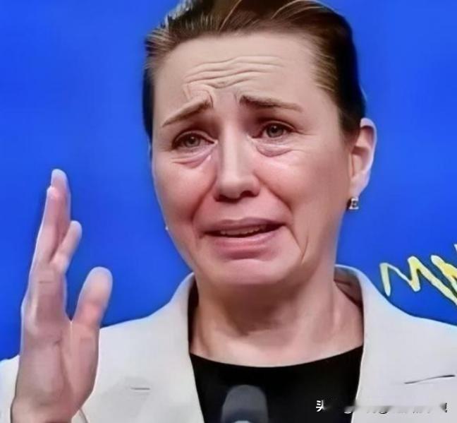 丹麦政府痛恨中国
丹麦的外交大臣拉斯穆森表示，过去不允许中国对格陵兰岛投资，现在