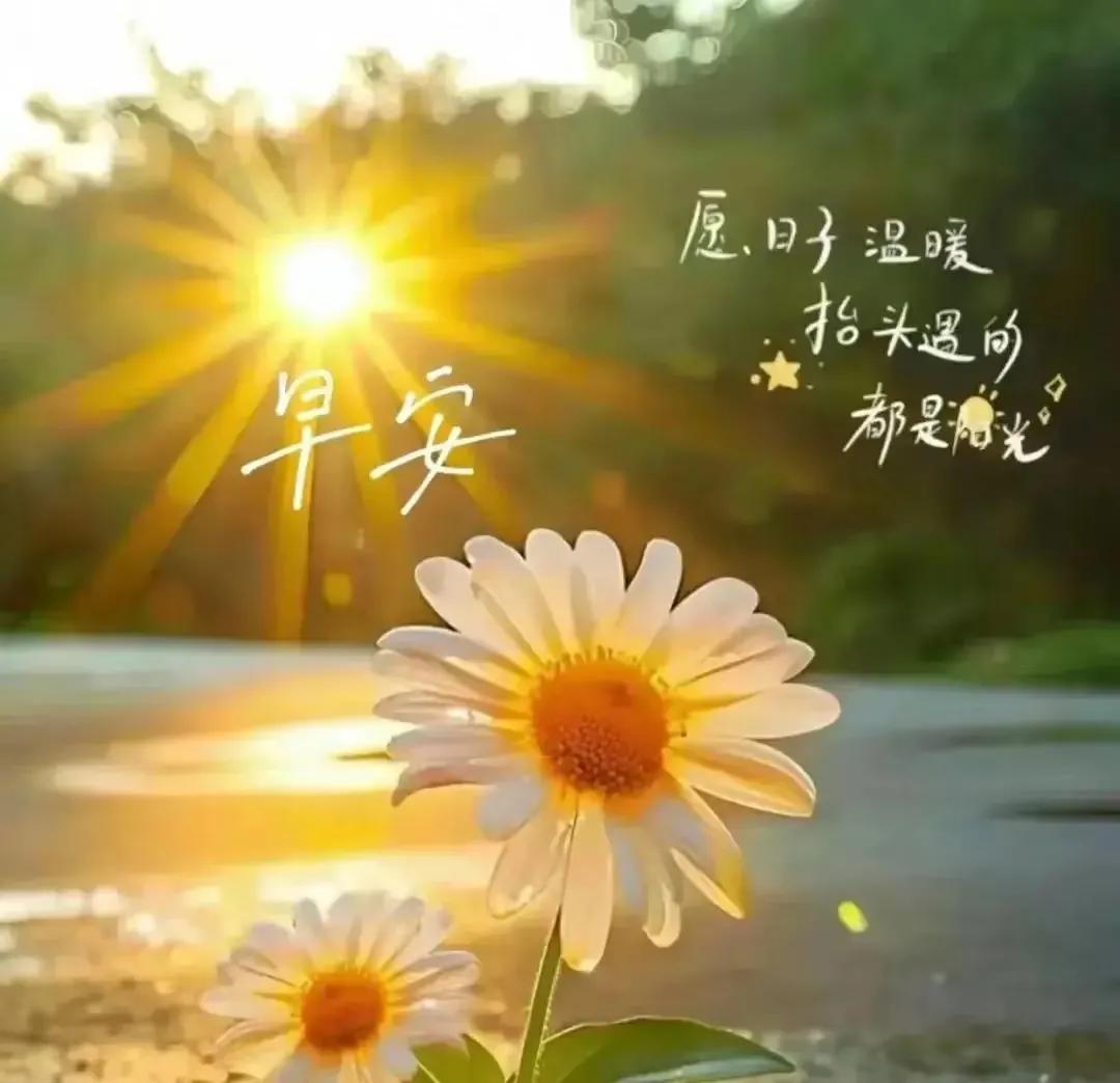 🧡 Morning 🌞

清喜于时光，安稳于日常，

身健，心安，人自在就好