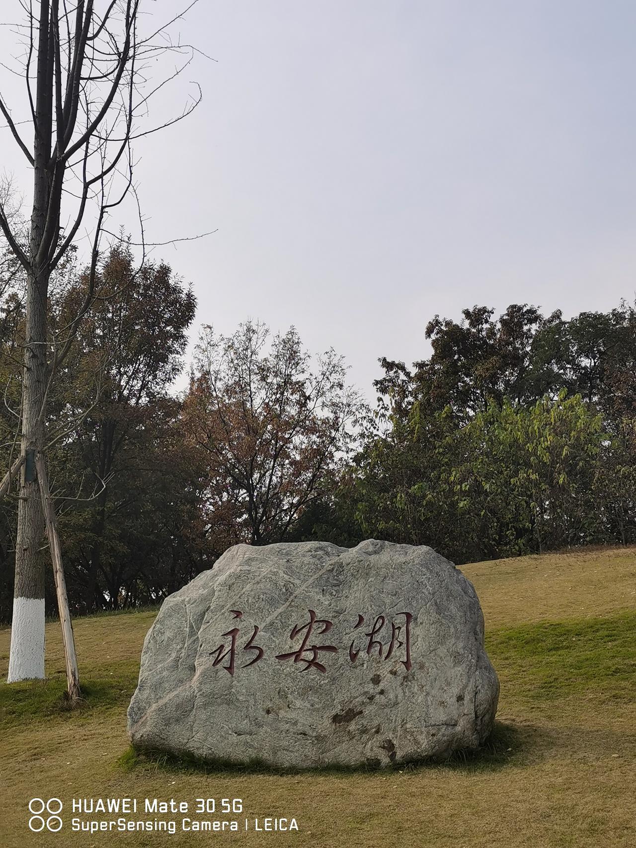 双流区永安湖，是一座森林公园，退休的我，今天坐2元的公交车S33，来森林公园晒太