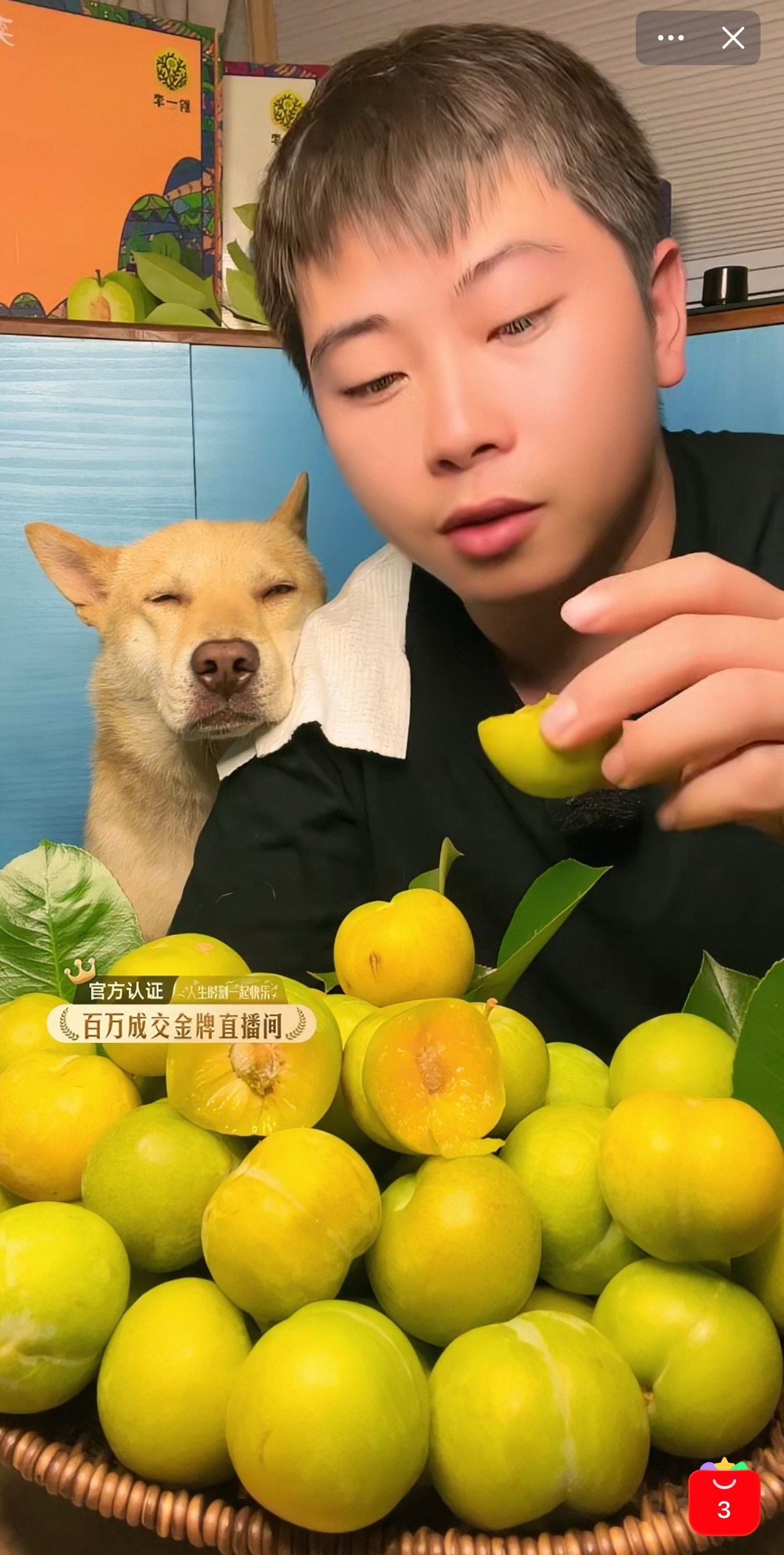 这只上班狗狗冬天卖蓝莓🫐夏天卖蜂糖李，主打睡觉💤 ​​​