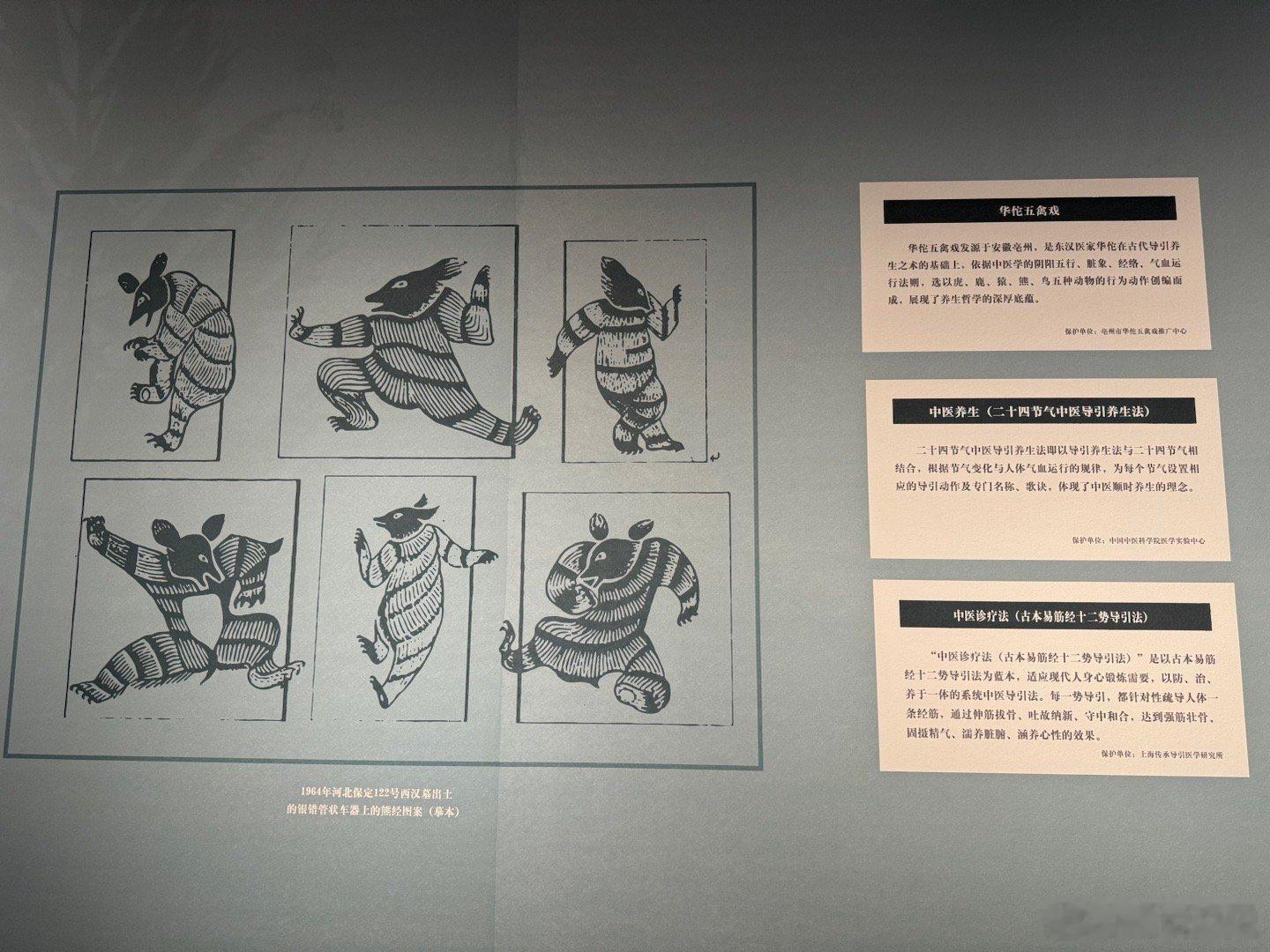 历史知识 学学吧，五禽戏，八段锦[举手]焕新非遗计划  ​​​
