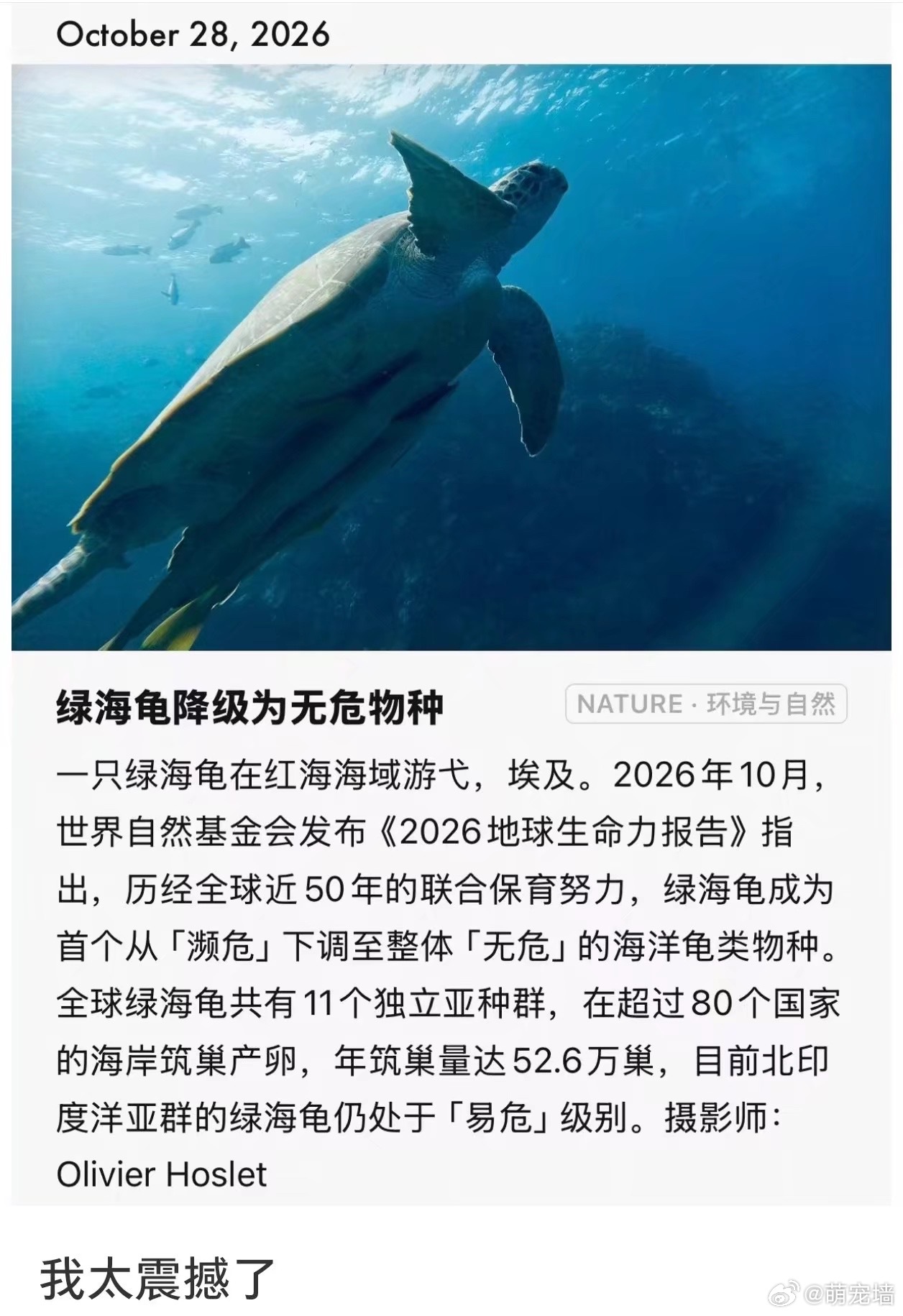 我今天看到最开心的事情是这一条 ​​​