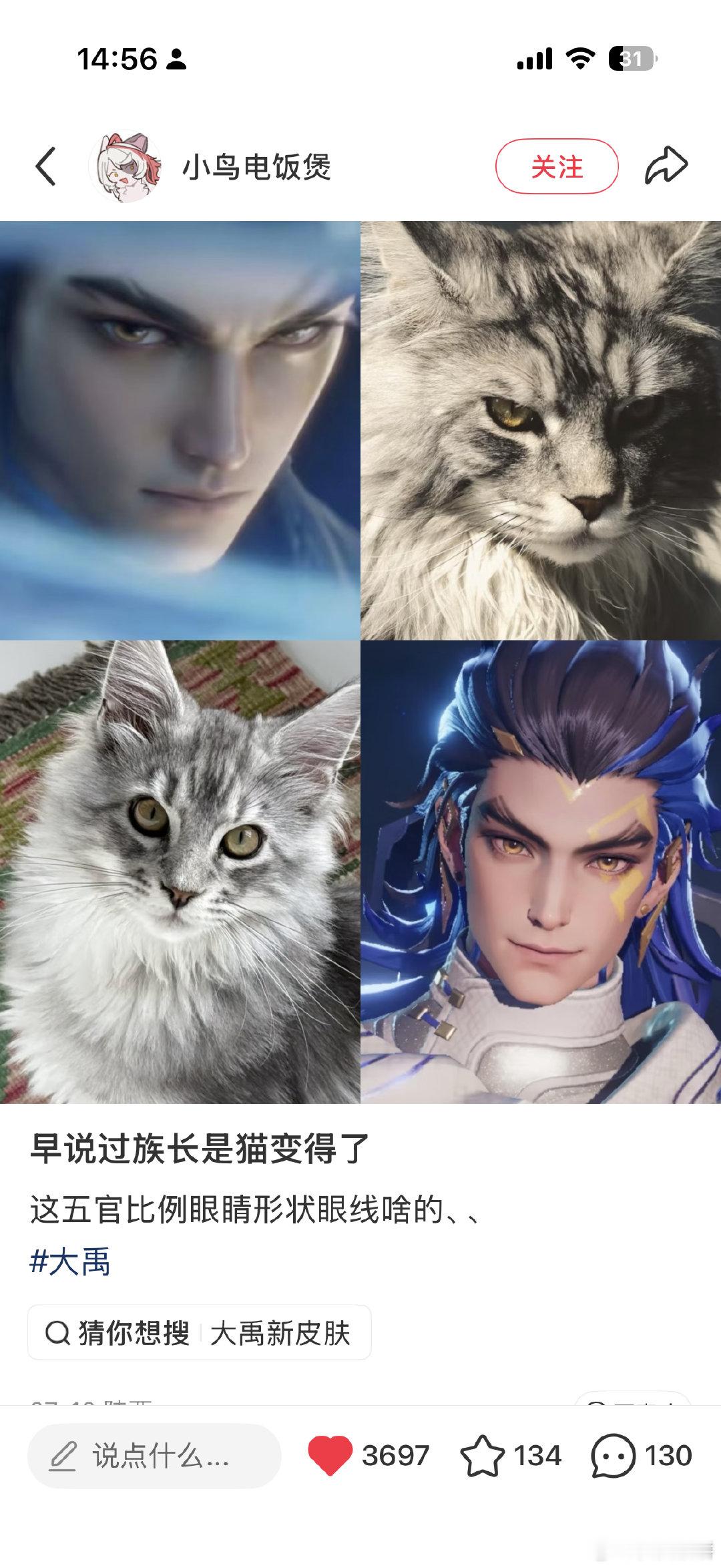 可爱鼠了 