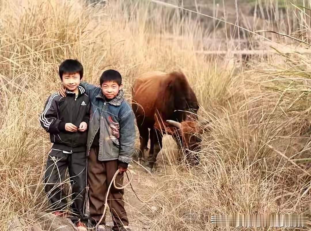 老观念里的传宗接代的义意何在? 老观念里的传宗接代，曾经在人们心中根深蒂固。过去