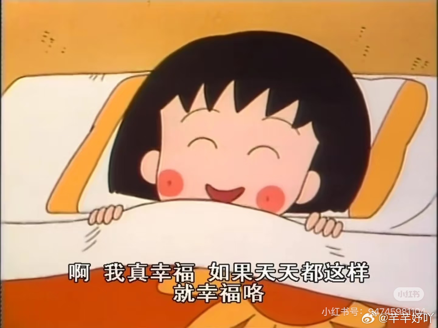 不知是台风还是秋雨雨下了一整天今晚凉爽到空调都不用开了 ​​​