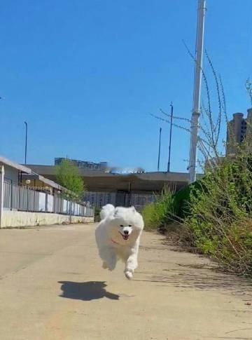 你期待的好消息，正在向你跑来，五月生效！ ​​​