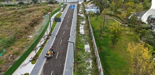 天府森林公园西段进展十一月四日
p1，云龙东街南段（南区段）今天在重新栽树 p2