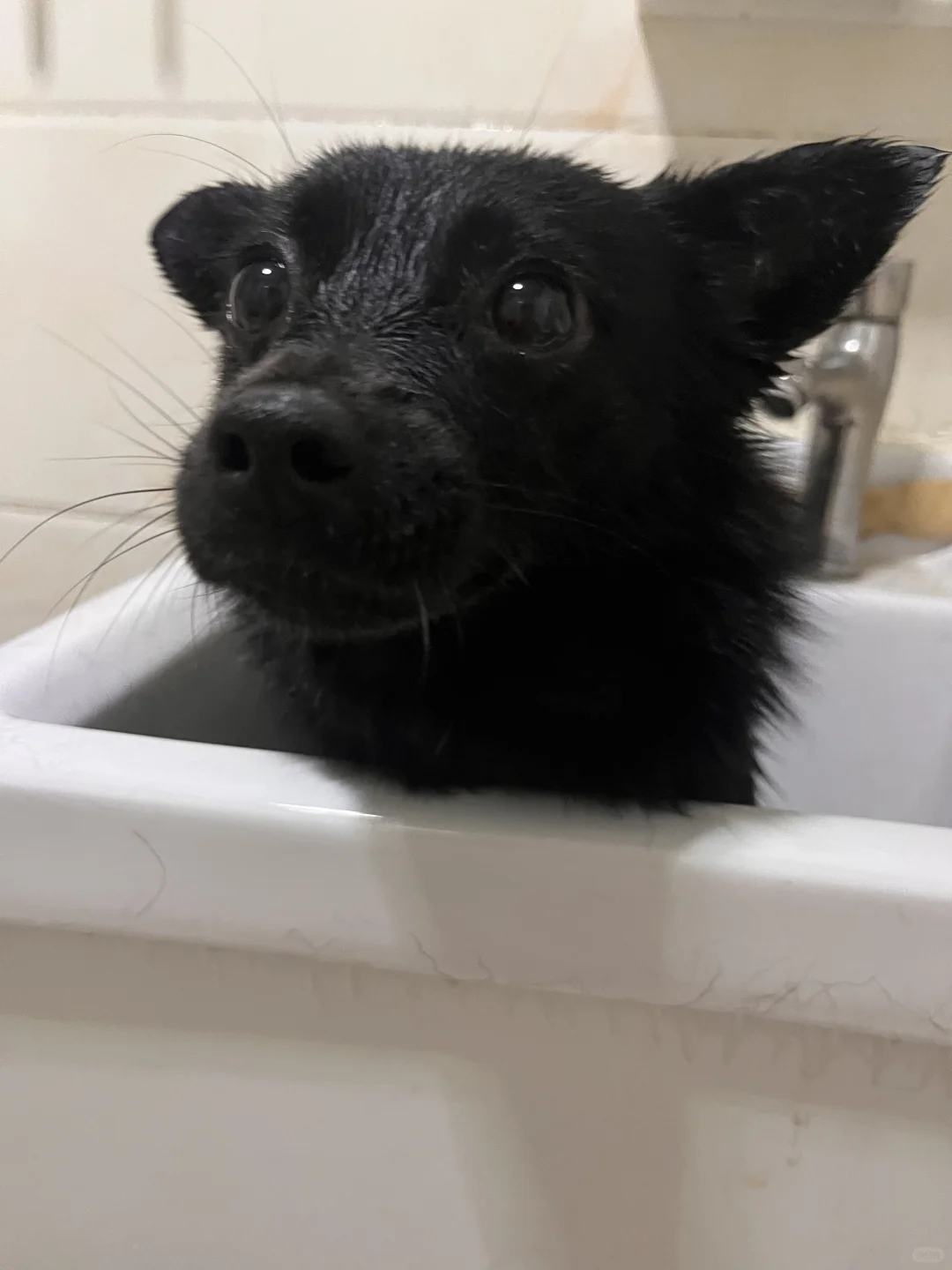 我爱洗澡皮肤好好🛁 哦哦哦哦