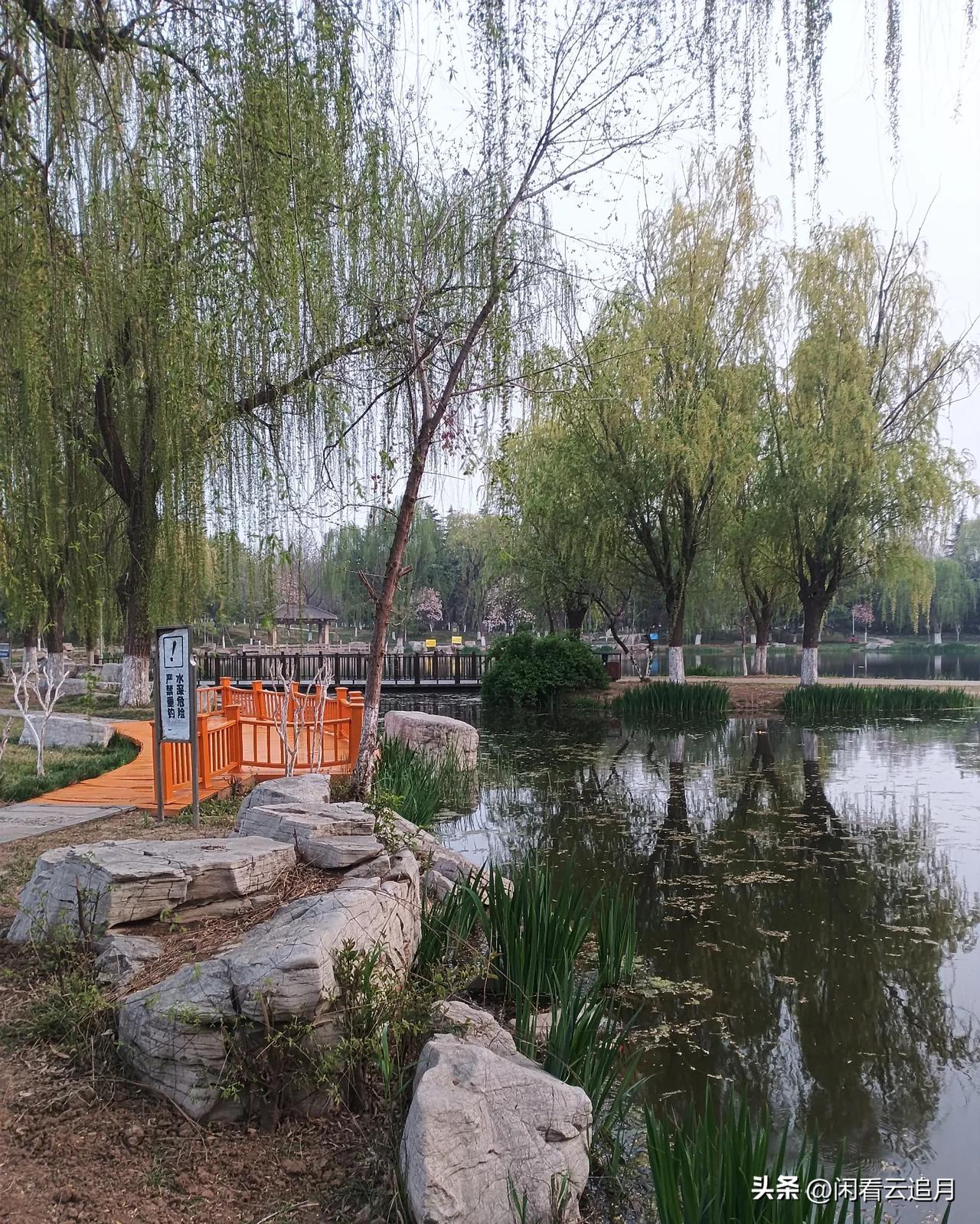 割痔疮的经历与感受（六）
术后第七天，回家后疼痛感更强了！夜里疼的翻来覆去睡不着