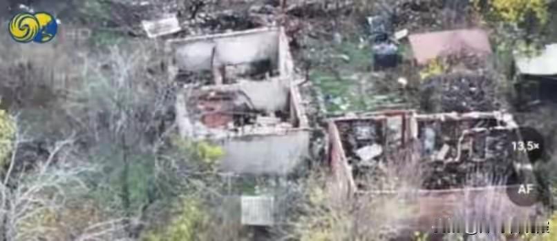 俄乌红军城战役进入决定性阶段，乌军总司令：七天内将解围红军城