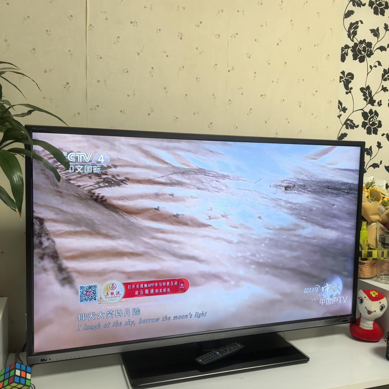 一个中秋晚会，被广告搞的支离破碎！