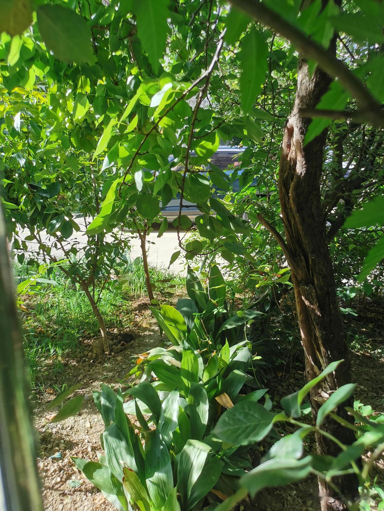 对于坏邻居，一定不能忍让
﹍﹍
今天早晨，我和男邻居吵了一架。

原因是：
我们