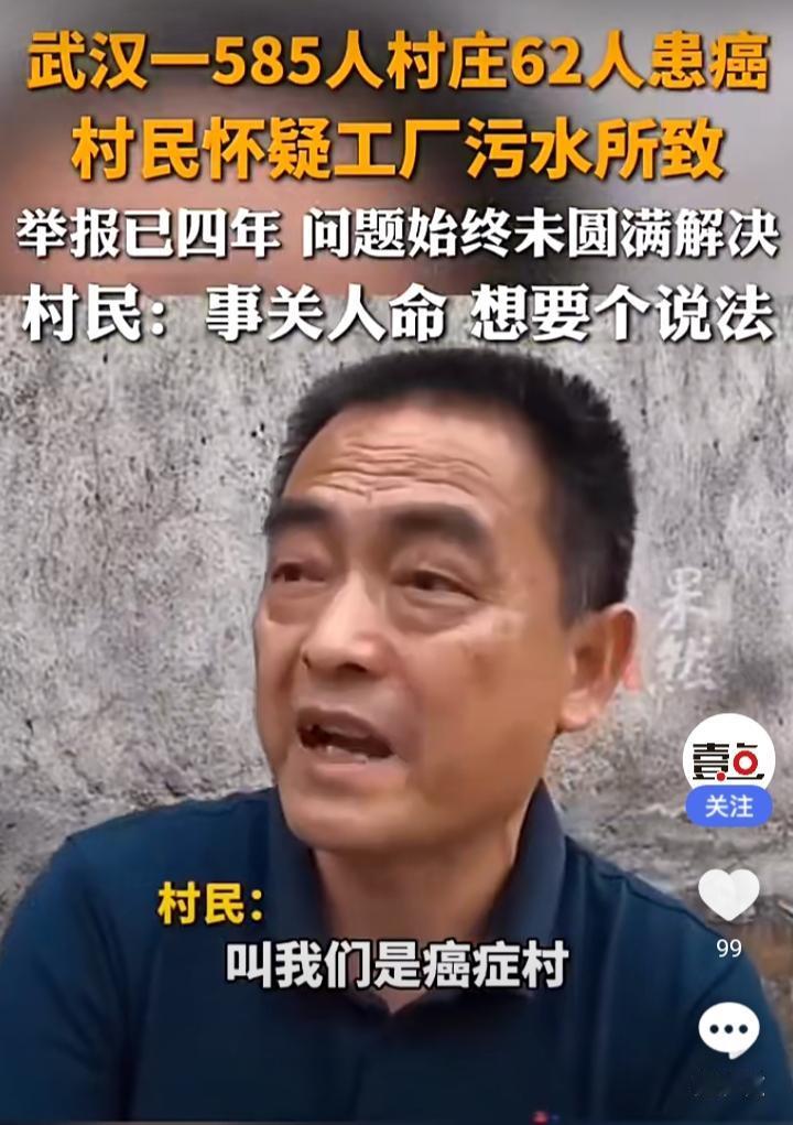武汉新洲区的一个仅585人的自然村，如今被重病阴霾彻底笼罩，超高患病数据颠覆认知