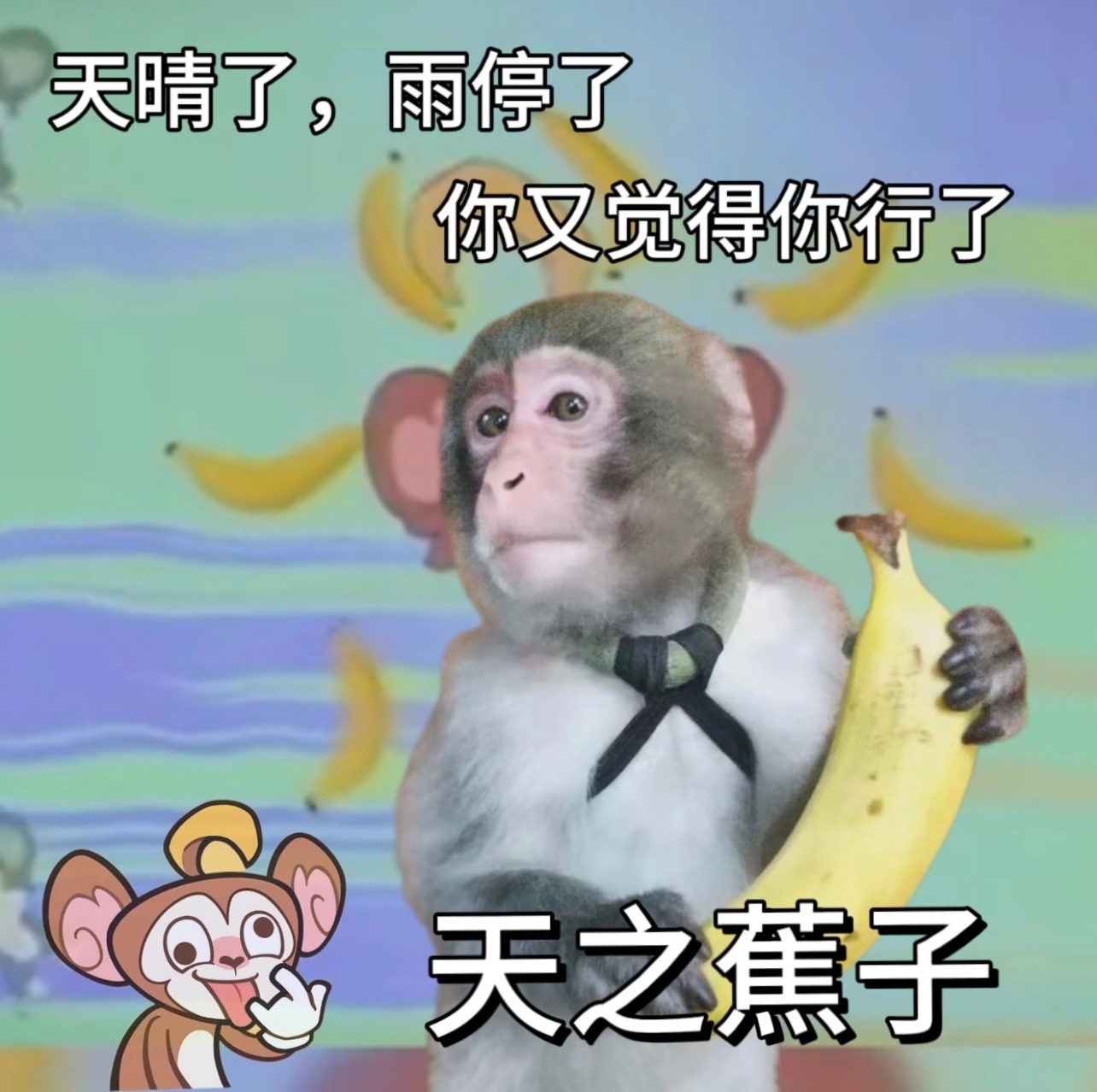 其实人是一根香蕉我的精神状态bike  算了，你肯定觉得没意思～🙈 