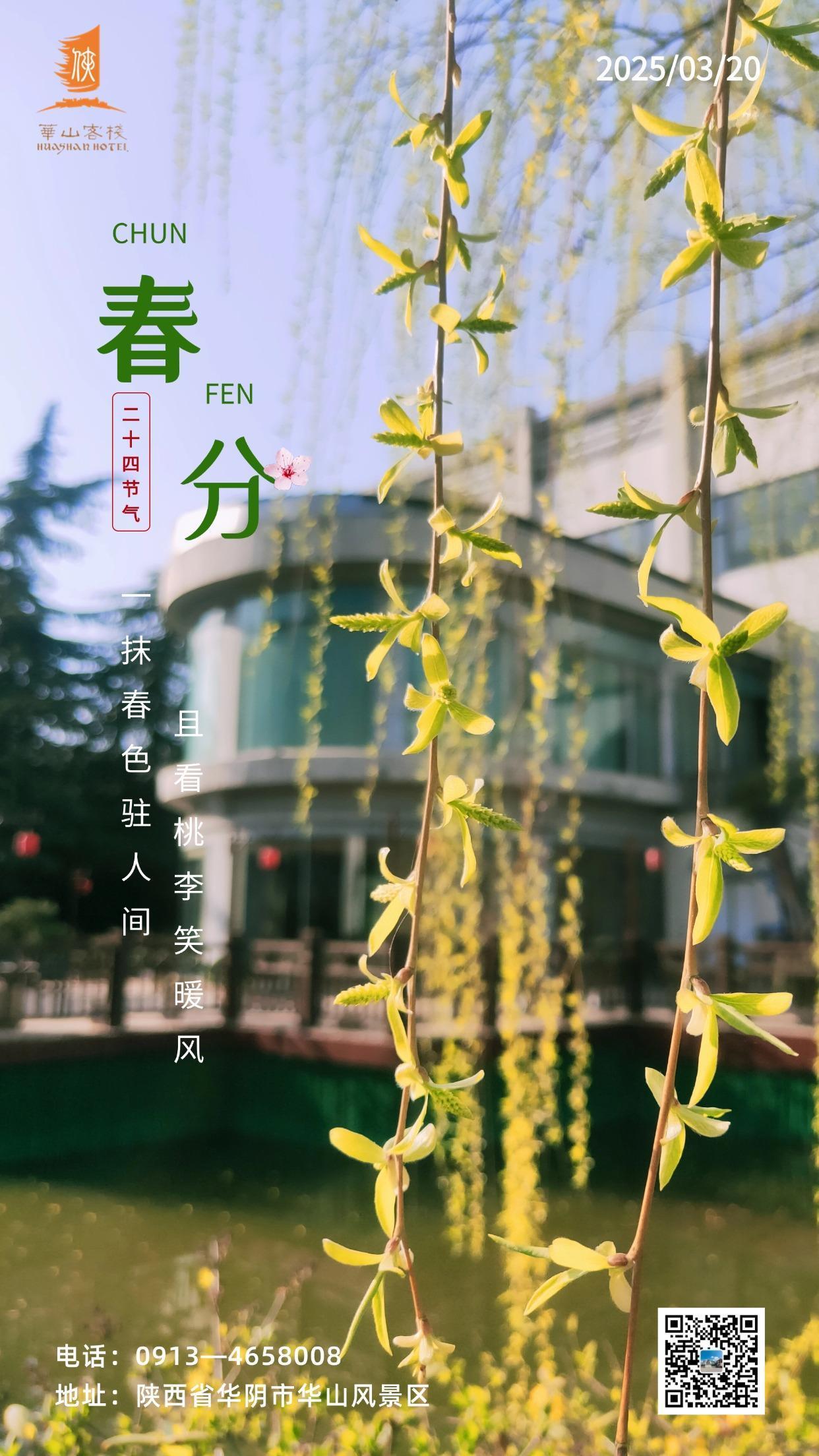 春分 华山 侠文化 春分翩跹而至，华山客栈宛如被春神轻吻的诗笺。
晨曦初露，那一
