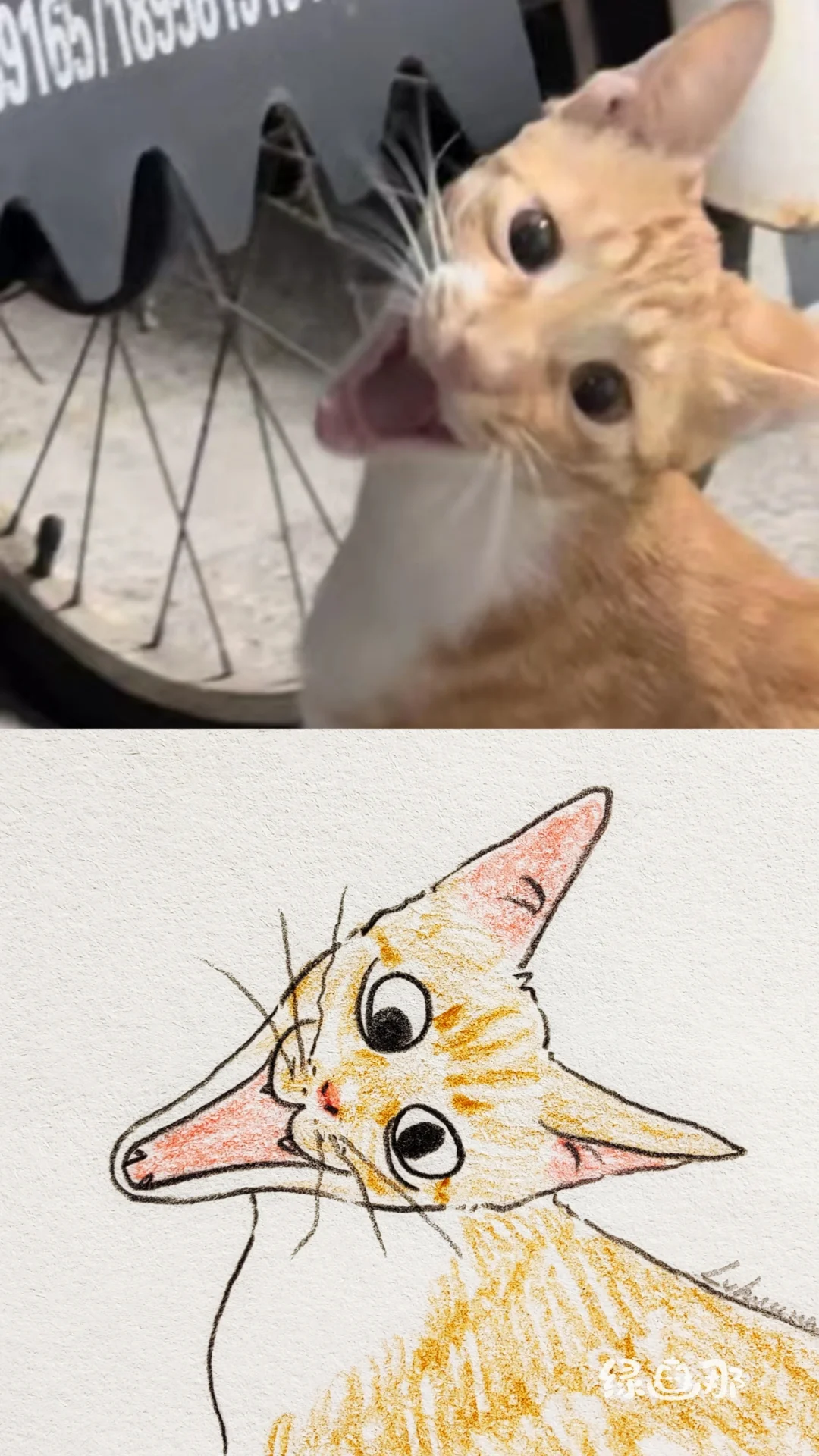 哈！