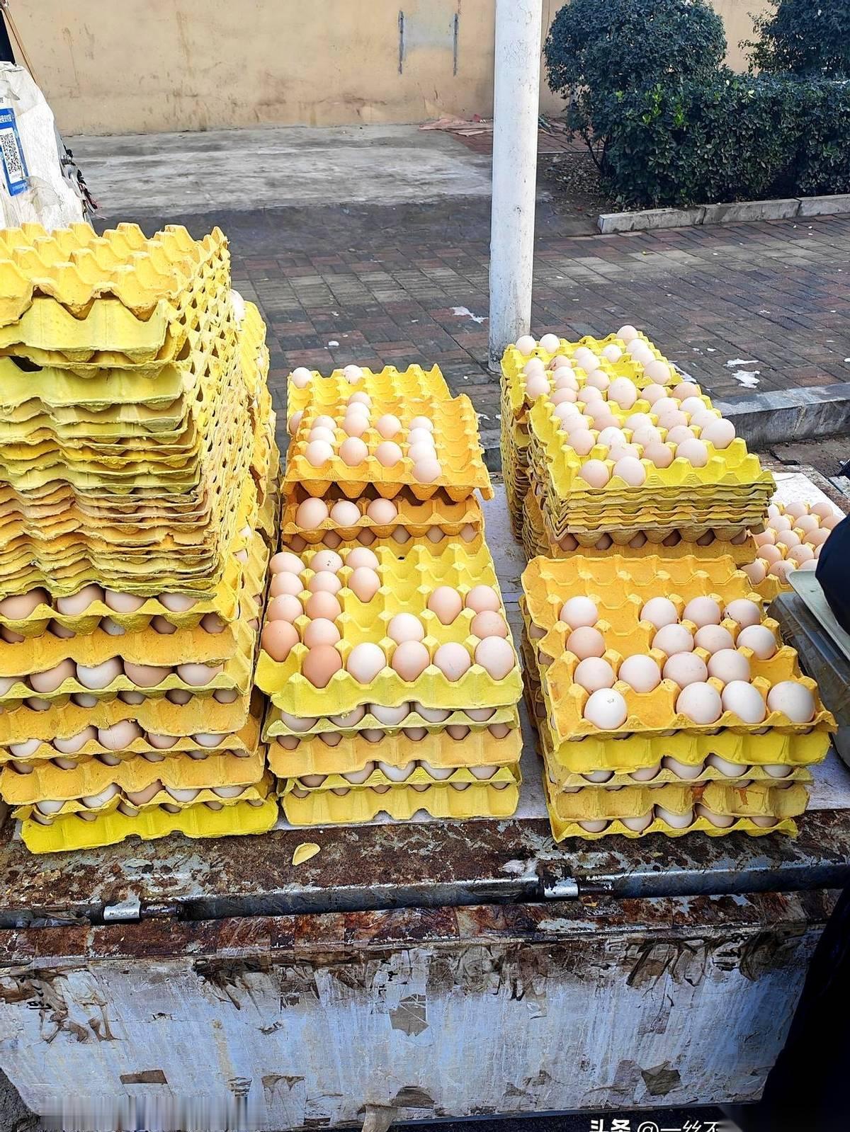 鸡蛋，3块钱一斤。
整整半个月，一分没涨。
今儿周一，我又去早市溜达了一圈，卖鸡