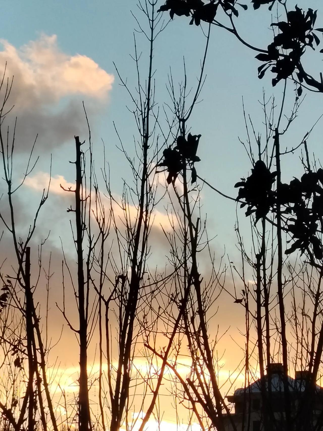 一一一验证儿歌一一一
初八暮霞红，
初九高天晴。
朝霞不出门，
晚霞千里行。
下