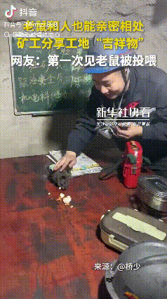 “万物皆有灵！”在矿井之中，工人们常常投喂老鼠，这些小生灵不但不惧人，还会老老实