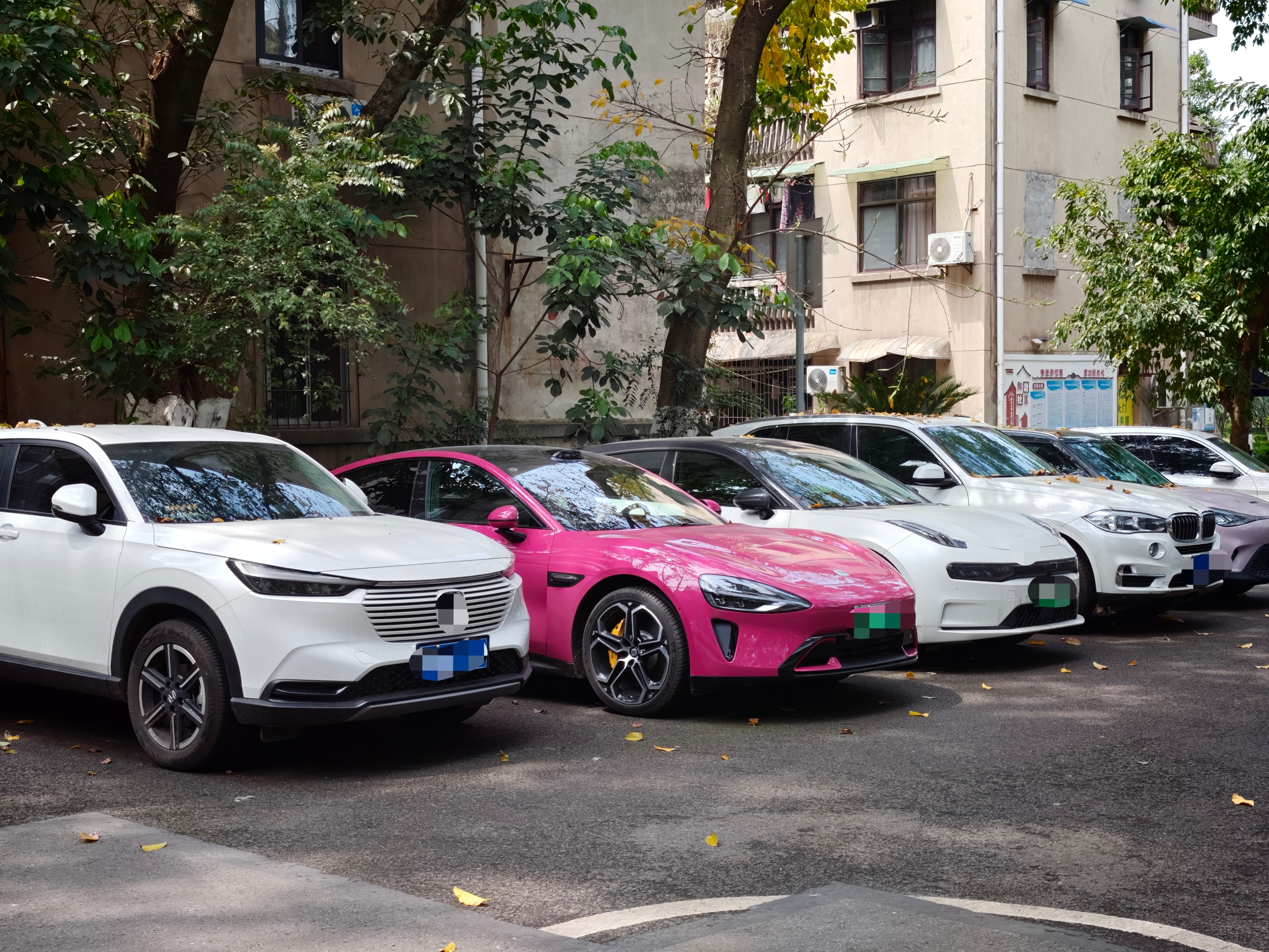 什么叫耀眼夺目，这就叫耀眼夺目