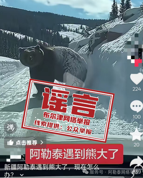 #喀纳斯出现棕熊视频系AI生成#【“新疆喀纳斯出现棕熊”？喀纳斯景区辟谣：视频为