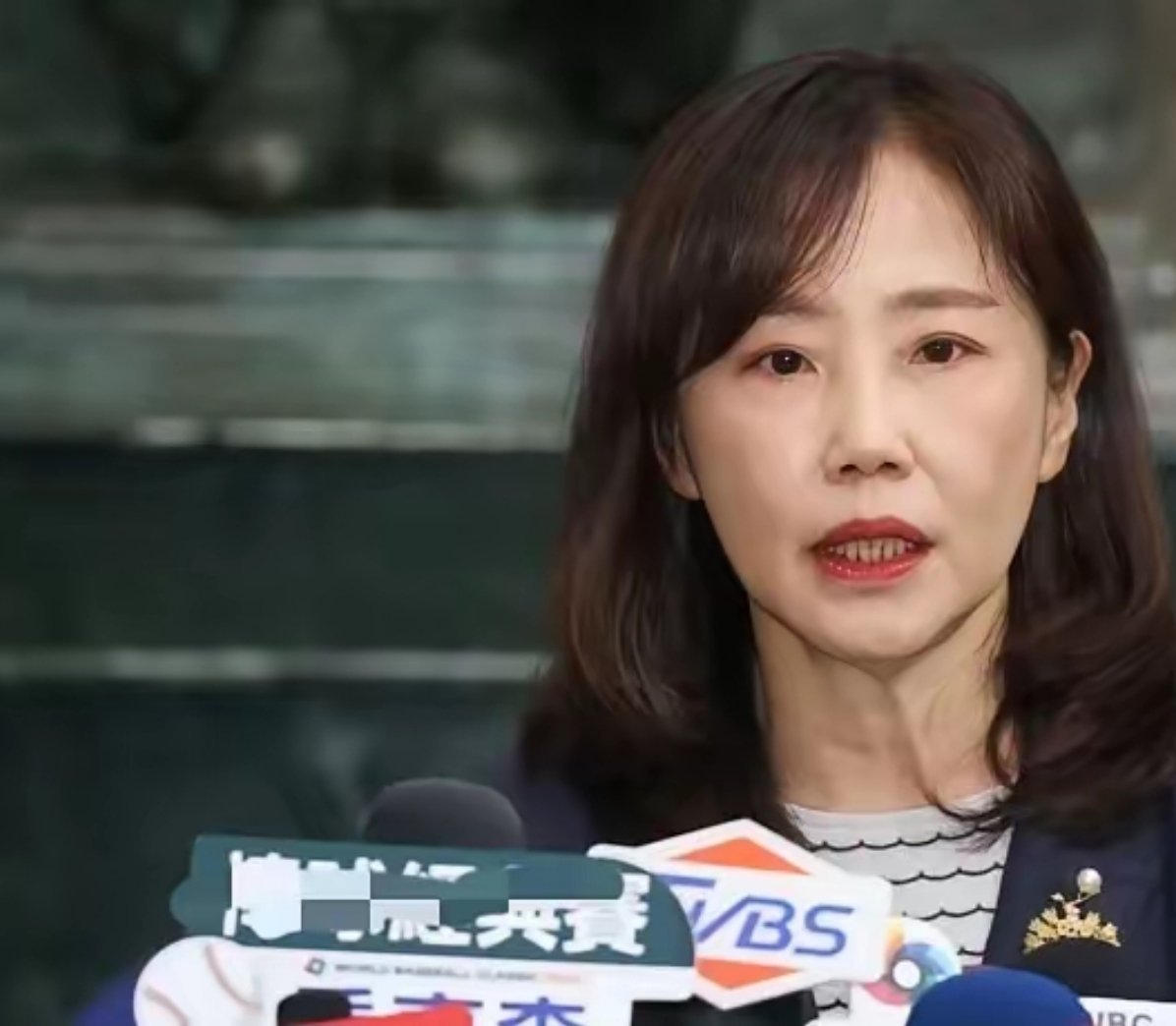 尹乃菁：郑丽文访陆期间手机遭台当局监听！ 