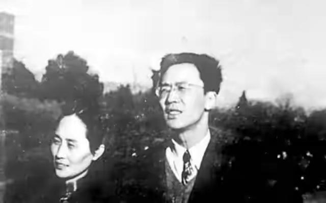 华罗庚晚年为何被妻子吴筱元赶出家门？曾为他卖嫁妆治病的她，去世前五年两人未曾见面