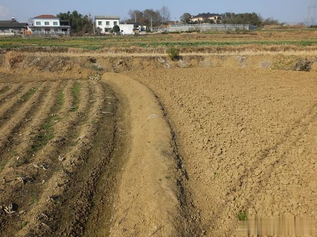 农民的困惑：农田不是自己的，宅基地不是自己的，什么是自己的？
我国农村土地制度的