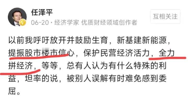 任泽平这样的人，
     他一般在自己的论点里，夹杂“私货”，发展新基建新能源
