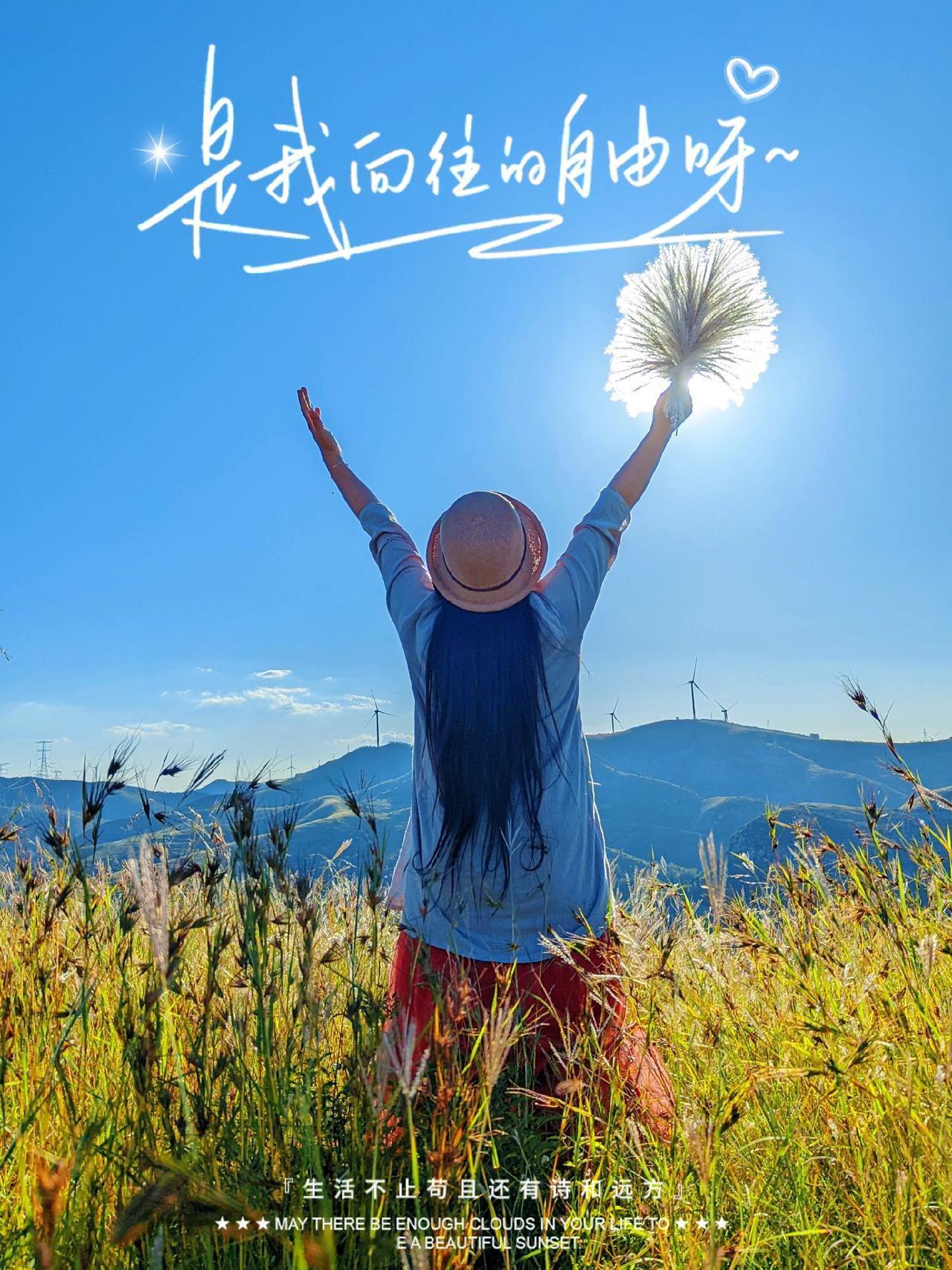 淄博淄川马棚村，号称淄博的空中草原，可以露营、野餐，拍照特出片。

自驾导航马棚