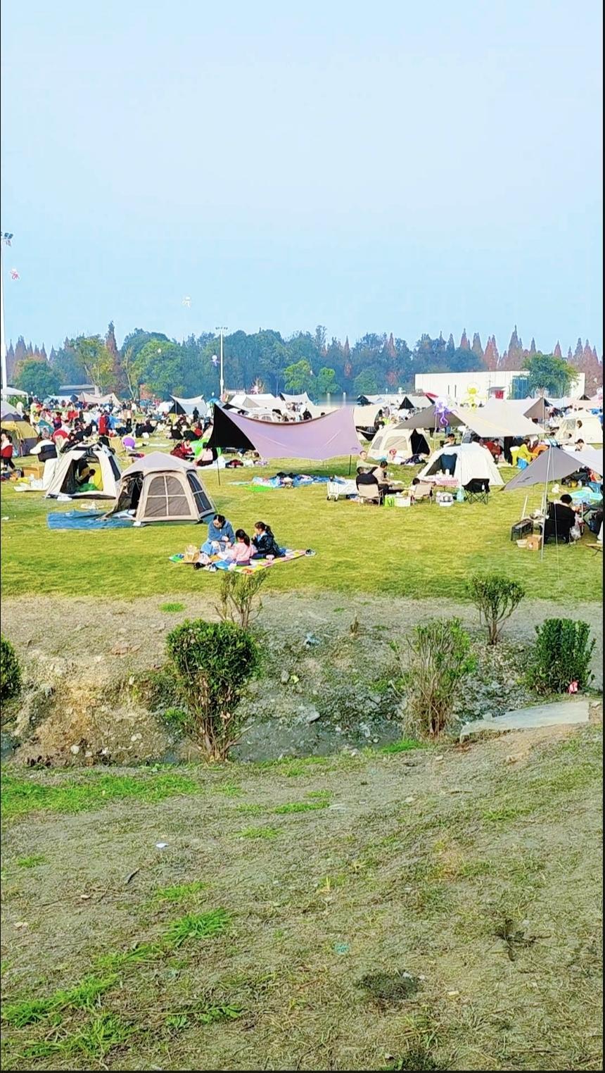 今日正值周日，阳光高悬，天气格外晴朗。身为成都人，自是不能辜负这暖阳的眷顾。公园