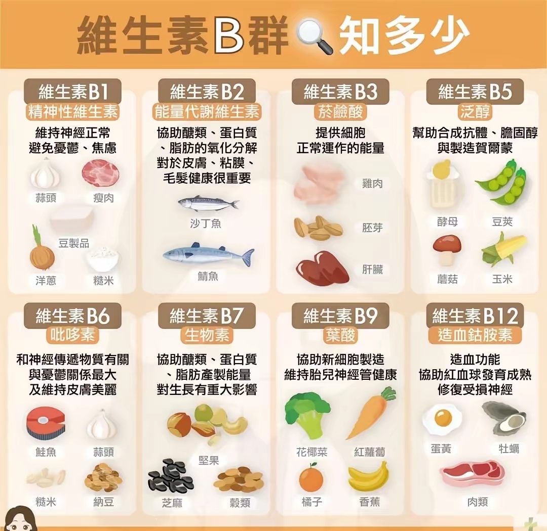 维生素B族 