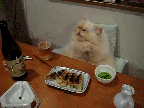 今儿气温低，又在刮大风。吹的鼻子吸溜吸溜的，冷呀