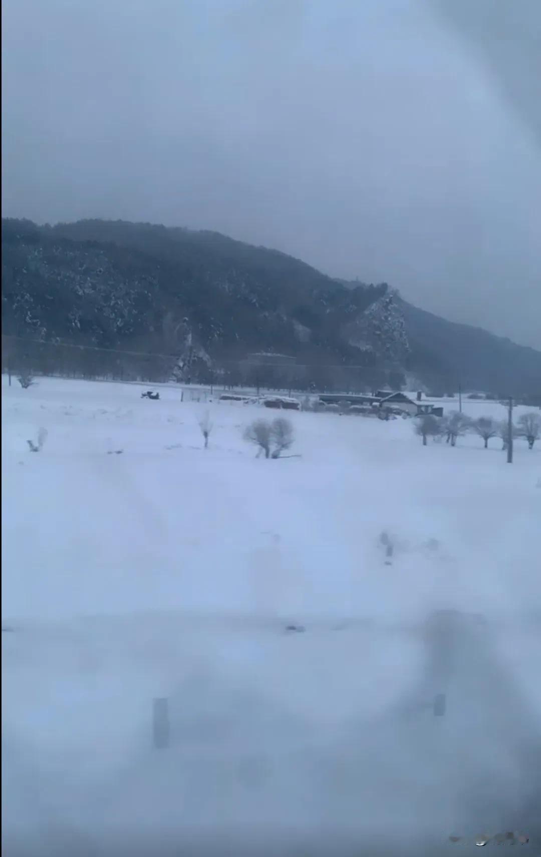 雪中漫步，冬日暖阳，岁月静好。朝阳下的雪景