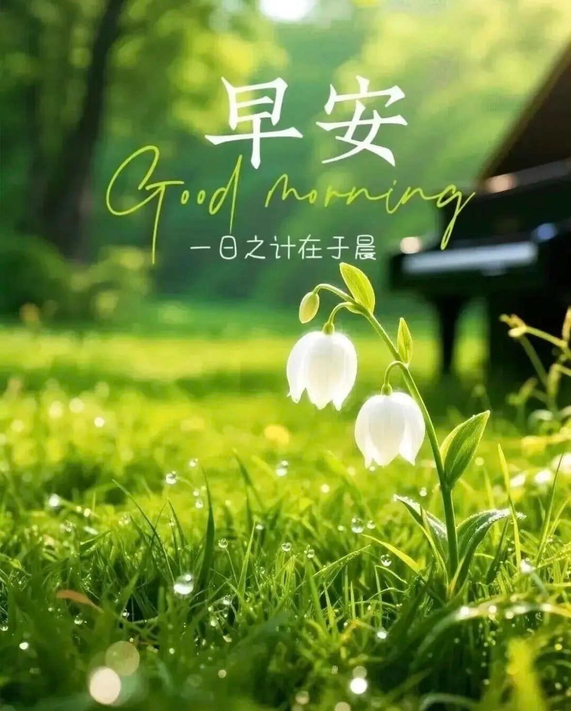 愿你既有前进的勇气，也有停下的底气。进，是追逐梦想；停，是拥抱自己。两种姿态，都