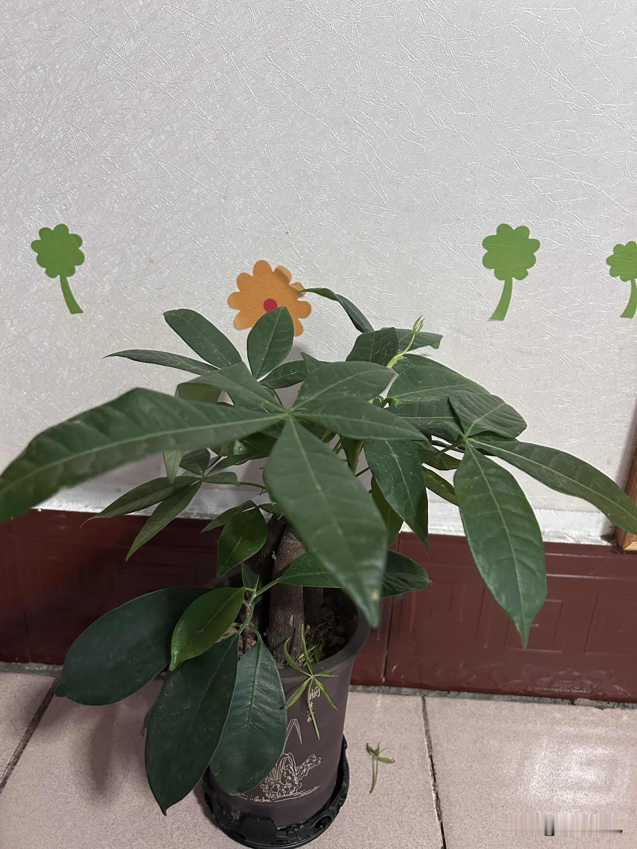 人活到通透才懂：最好的养生，从来不是补身体，而是养心情

人到中年、晚年，我终于