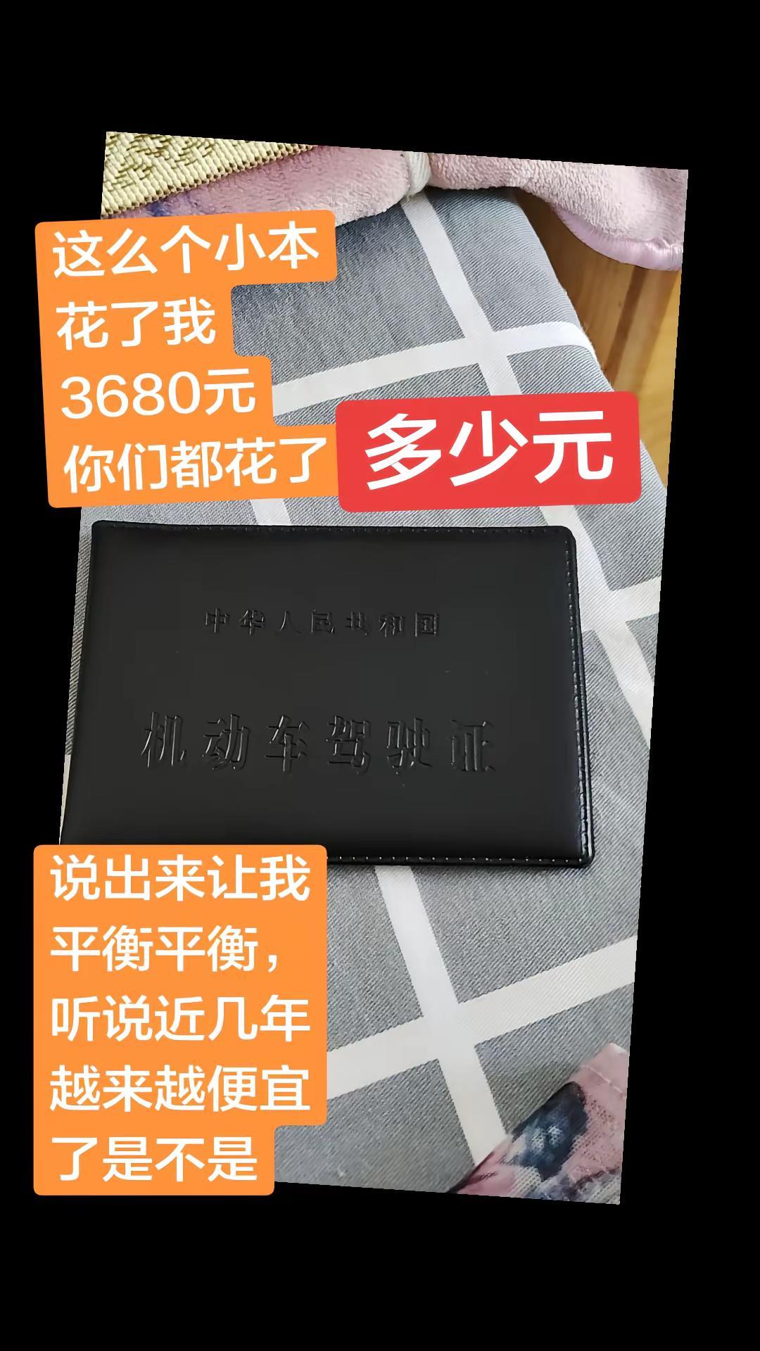 机动车驾驶证 有驾照的女生 驾驶本