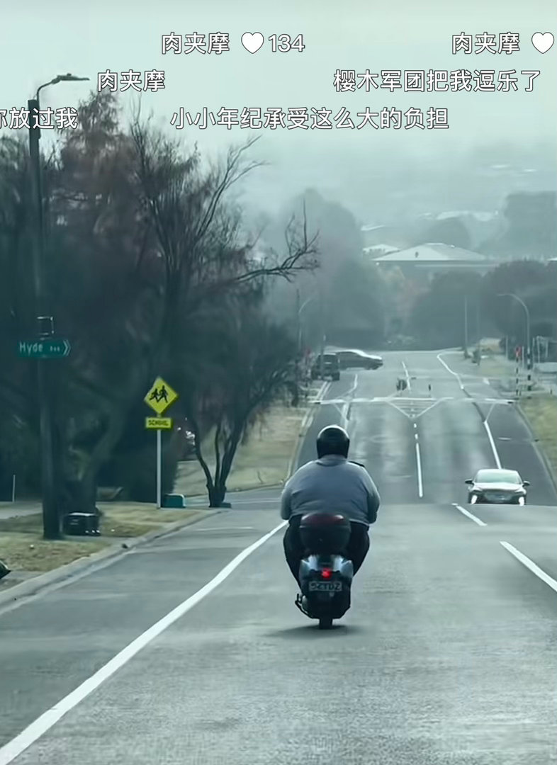 肉夹摩那个你给我出来！ 