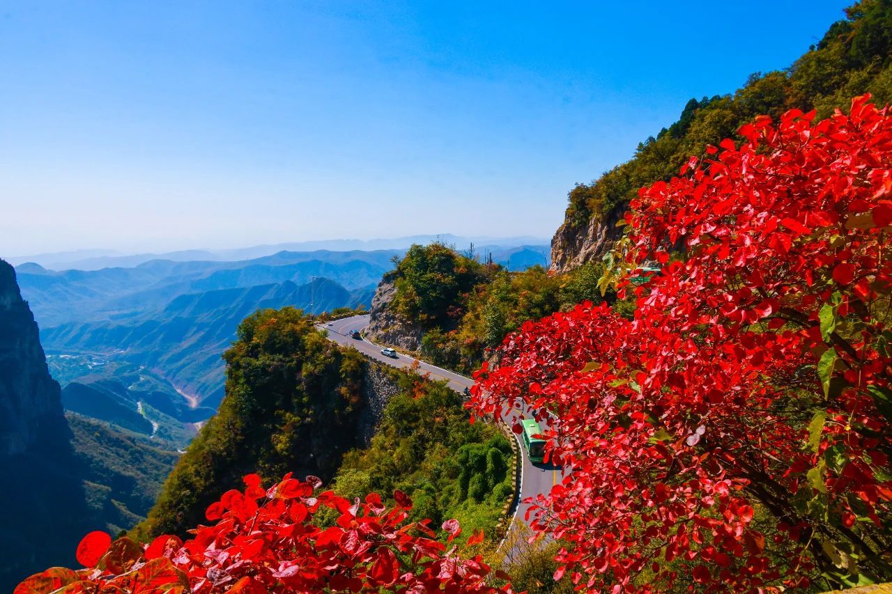 #阿山播天气#10月26日 云台山 晴 10/17°C🍁🍂希望这个秋天 爱与