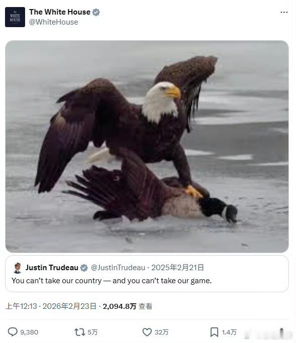 美国夺金后特朗普发图回怼特鲁多美火拳之后，又来了鹰压鹅奇葩。美国媒体骂谷爱凌也和