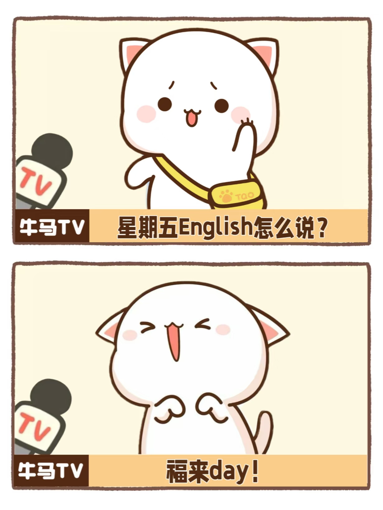 周五啦周五啦～福来day我来啦～