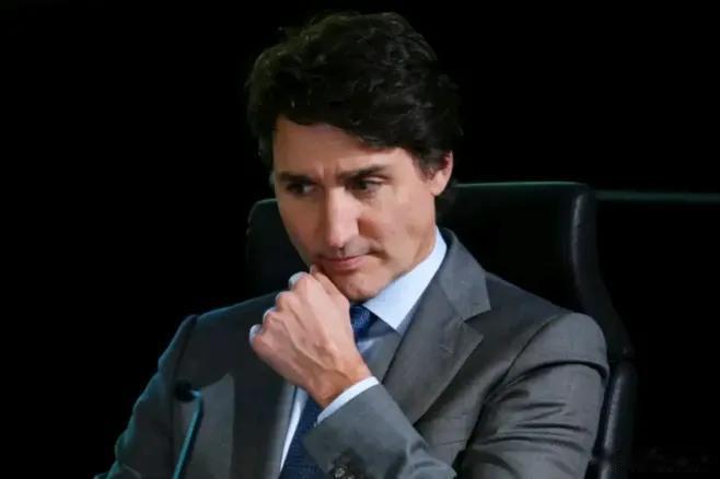 加拿大为啥对中国低头了？

1、加拿大自己也知道如果完全离开中方电动汽车零部件，