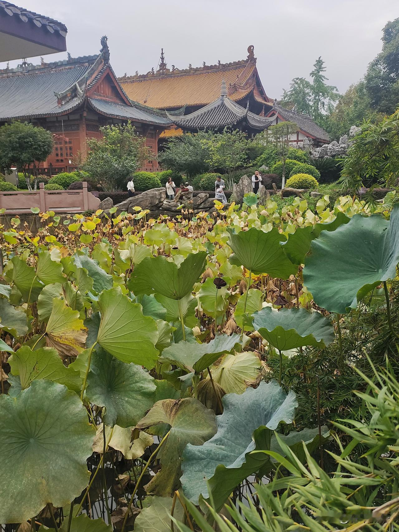 如果要用一句话来概括，可以是：

幸福，是内心安宁，家人闲坐，灯火可亲，所有寻常
