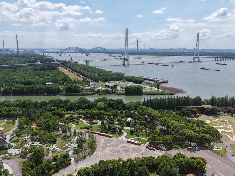 夏日的美景，是大自然给我们的馈赠，随手一拍都是大片。
前几天去海边，那湛蓝的天空