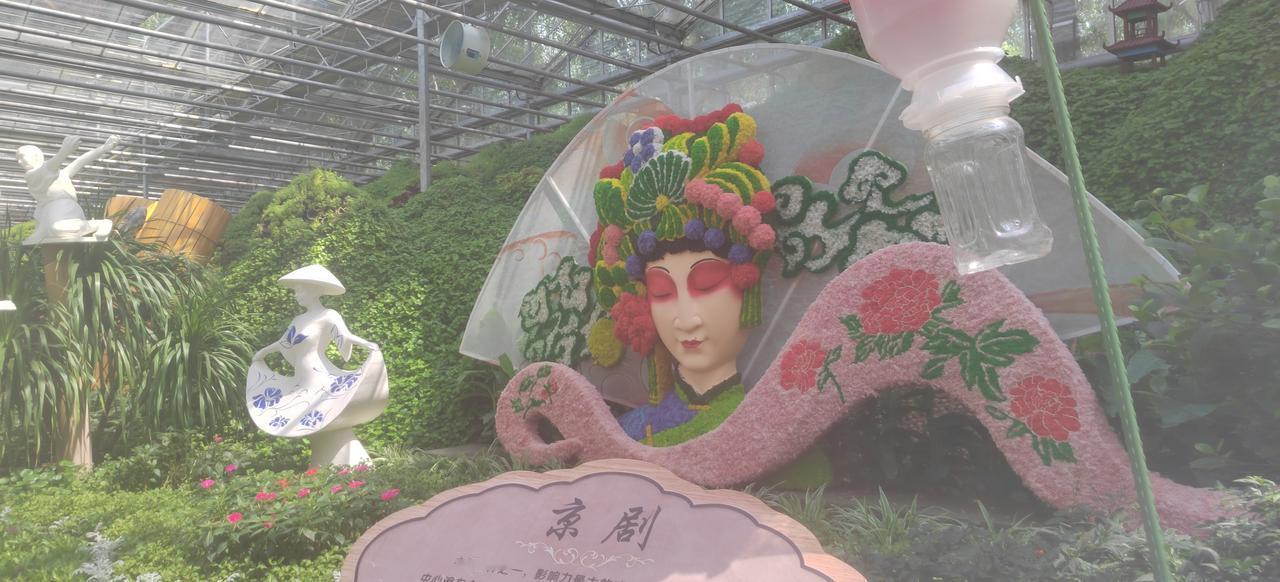 我昨天买彩票中了698万。我不想告诉妻子女儿还有父母以及兄弟姊妹。因为我怕打扰他