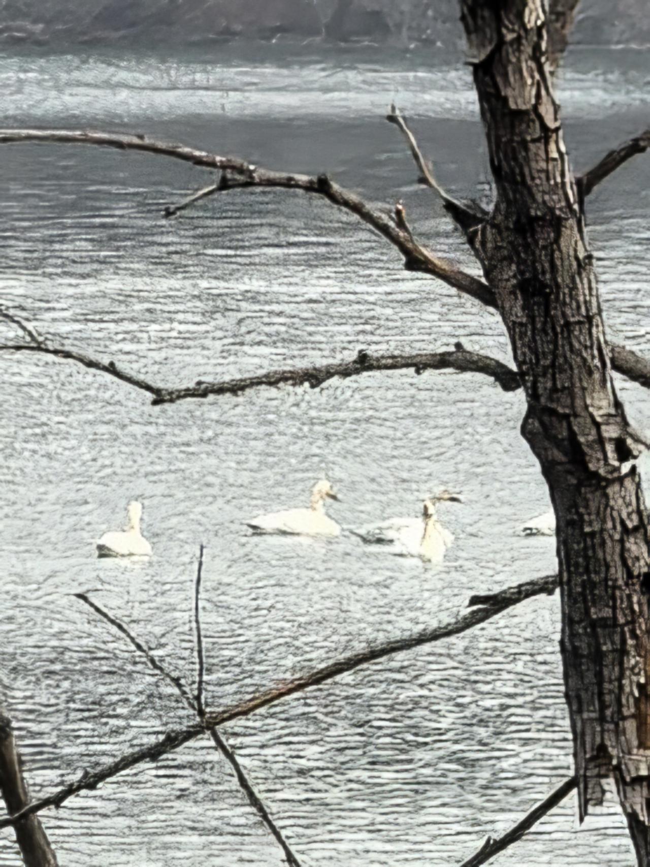 分享一张你手机里的湖照片 分享一张你手机里的湖照片今天下午，我在乌金山脚下的凤栖