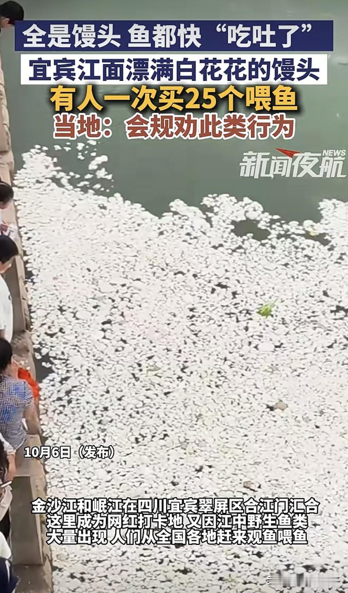 看看，预制馒头连鱼都不吃
国庆假期，四川宜宾翠屏区一江门汇合处成为了网红打卡点，