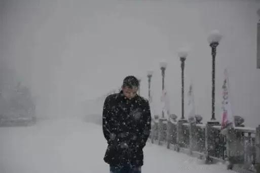 一夜之间，东北大暴雪


北方的人谁的记忆当中没有冬雪，只是今年提早了，更加的猛