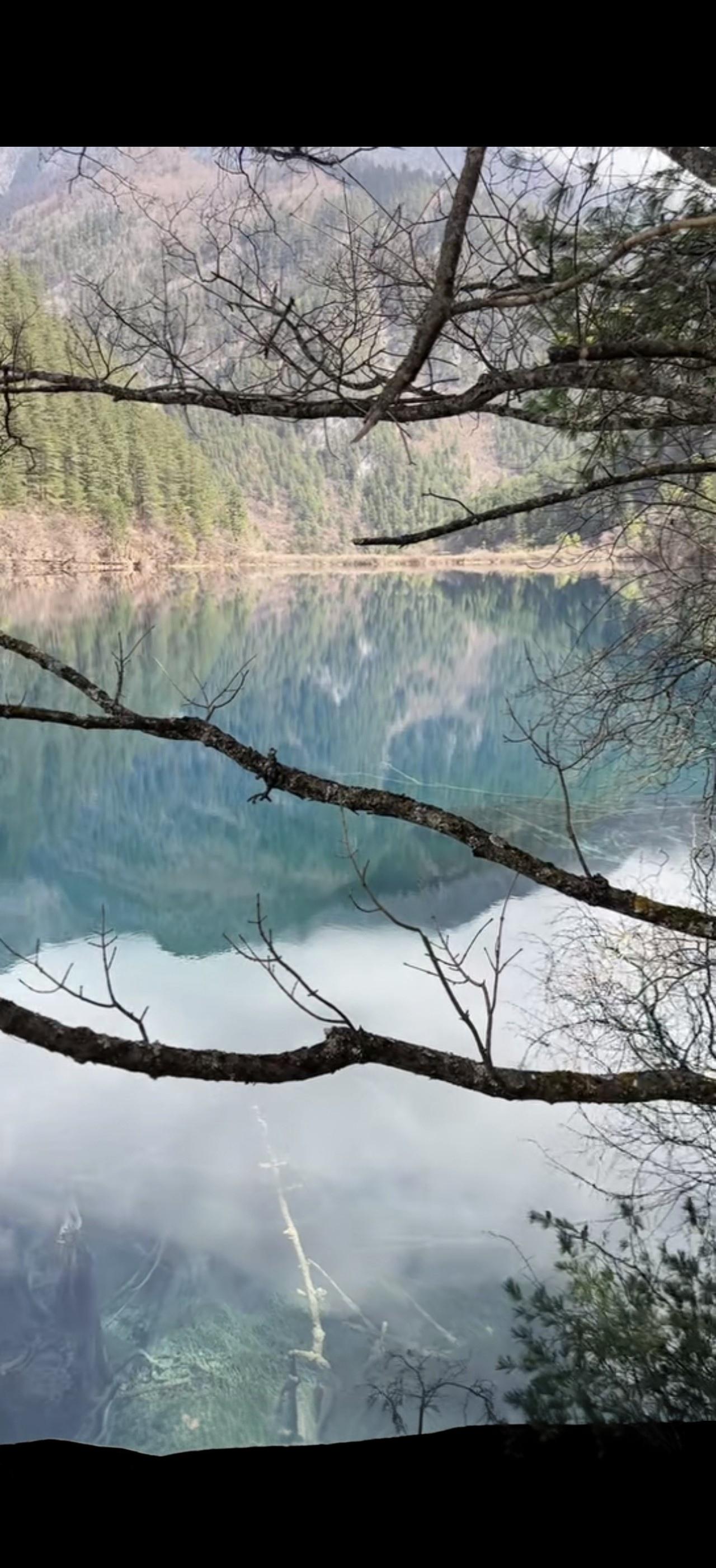 与痛风斗争的历程182
 
   今早起床，全身关节状态都很正常，只有右膝关节和